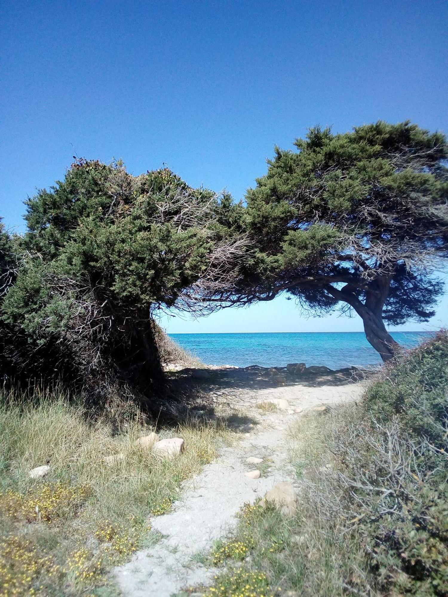 Summer Room- Fronte Spiaggia لا كاليتا المظهر الخارجي الصورة